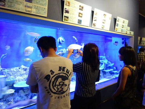竹島水族館,所要時間,口コミ,私の感想