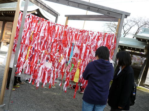 ���{�{�_��,�Q�q,���v����,�N�`�R�~,���z