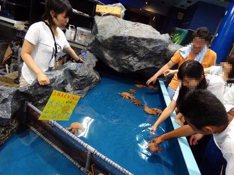 竹島ファンタジー館,近く,周辺,観光地,おすすめ,蒲郡