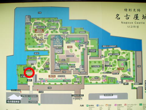 オススメ,名古屋城,名物,ランチ,体験,感想,レビュー,味噌カツ,きしめん,名古屋めし